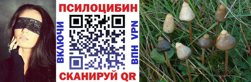 omg зеркало  Белогорск  Галлюциногенные грибы MAGIC MUSHROOMS 