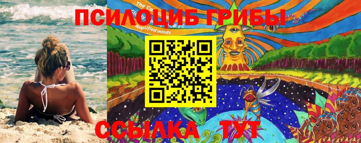 Белогорск  Галлюциногенные грибы Psilocybe  Вход с VPN 