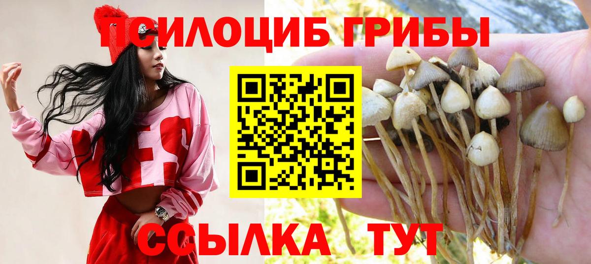 Галлюциногенные грибы Psilocybine cubensis Белогорск